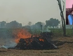 हाथरस में मनचलों से प्रताड़ित युवती ने फांसी लगाकर की आत्महत्या, मुकदमा दर्ज, पिता गये थे पत्नी को पथरी की दवा दिलवाने, पीछे हुई घटना