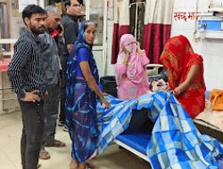 बाइक सवार को आवारा सांड ने मारी टक्कर, युवक हुआ गंभीर घायल, उपचार को अस्पताल में भर्ती