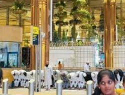 बेंगलुरु एयरपोर्ट पर नमाज पढ़ने का वीडियो वायरल, भाजपा ने कांग्रेस सरकार से पूछा अनुमति किसने दी?