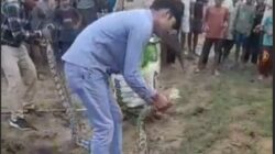 सुसायत कलां के खेतों में निकला 12 फीट लंबा अजगर, ग्रामीणों में मचा हड़कंप