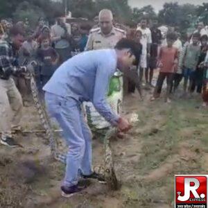 सुसायत कलां के खेतों में निकला 12 फीट लंबा अजगर, ग्रामीणों में मचा हड़कंप