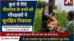 कुएं में गिरे नीलगाय के बच्चे को गौरक्षकों ने सुरक्षित निकाला