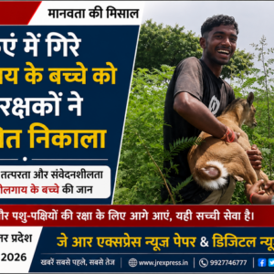 कुएं में गिरे नीलगाय के बच्चे को गौरक्षकों ने सुरक्षित निकाला