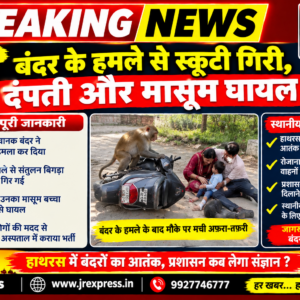 Hathras; बंदर के हमले से स्कूटी गिरी, दंपती और मासूम घायल